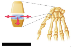 <p>Nonaxial Joint</p>