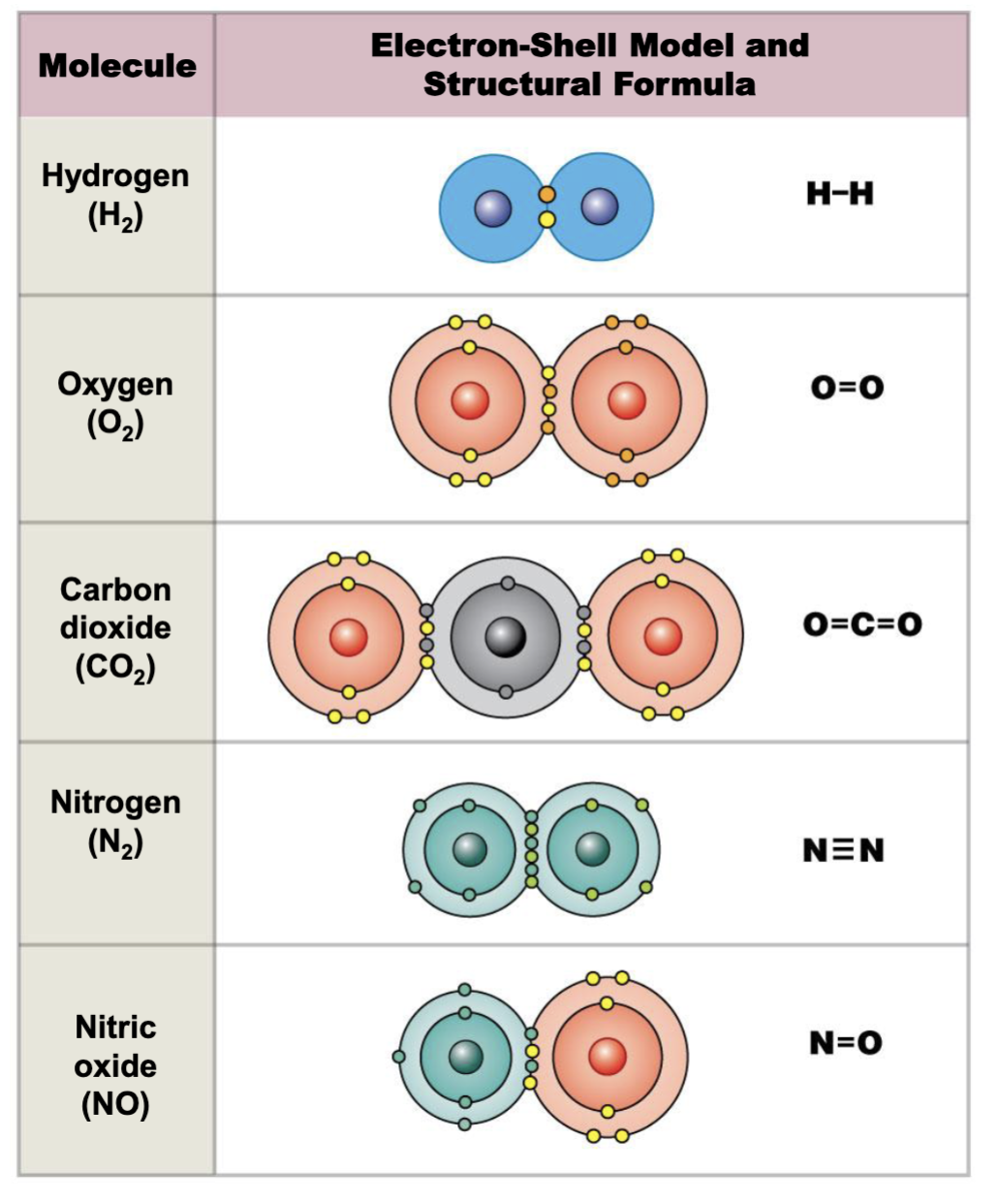 <p>Covalent bond</p>