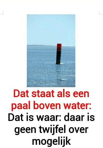 <p>als een paal boven water staan</p>
