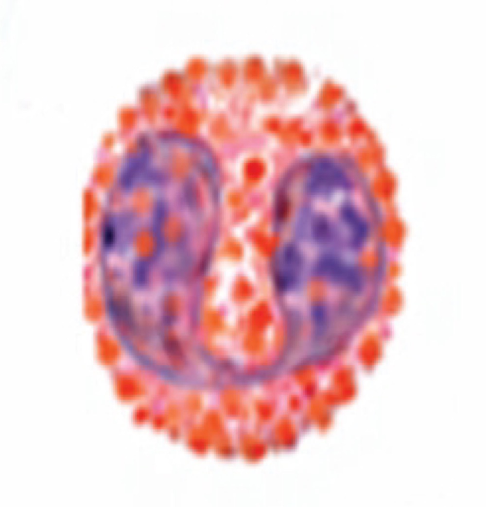 <p>Eosinophils attack what organism that invades the body?</p>