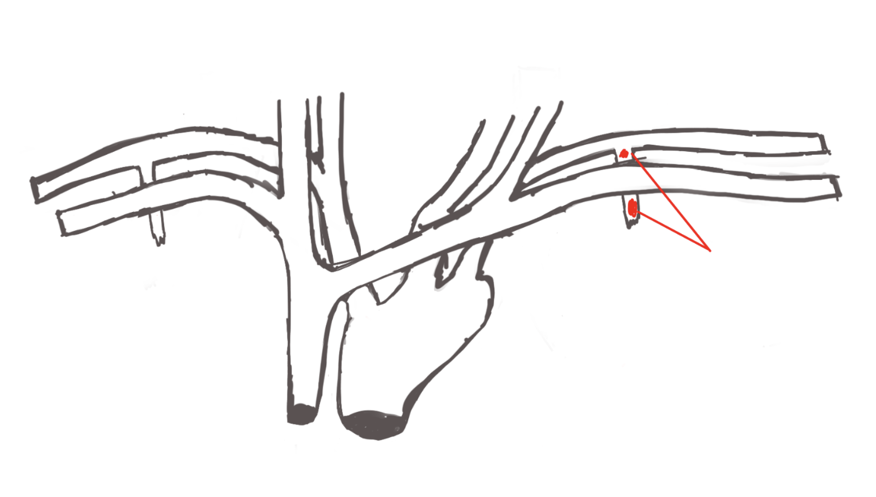 <p>structure. left side also cut.</p>