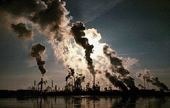 <p>the contamination</p>