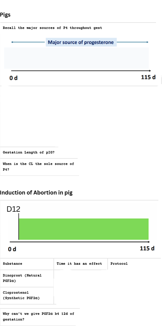 <p>Pigs</p>