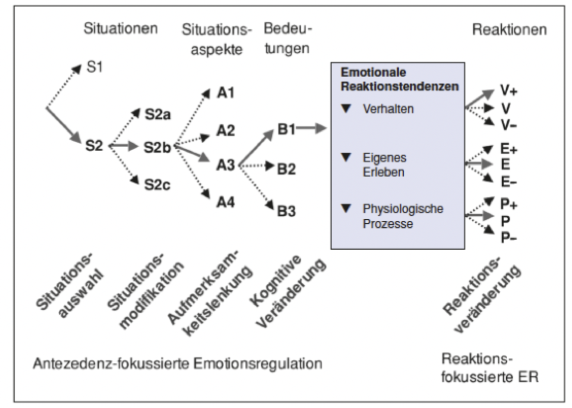 <p class="p1"><strong>Emotionsregulation = Prozesse zur Steuerung</strong>, welche Emotionen wann, wie stark und wie sie ausgedrückt werden (verändern, verstärken, aufrechterhalten; automatisch oder kontrolliert) → <strong>zentral für Alltagsbewältigung</strong>; beeinflusst Verhalten, Leistung, Wohlbefinden (<strong>Defizite → Risikofaktor für Angst</strong>)</p><p class="p1"><strong>Fähigkeiten:</strong> Emotionswahrnehmung &amp; -verständnis; Kenntnis von Auslösern/Konsequenzen; <strong>Intensitätskontrolle</strong>; klarer Ausdruck</p><p class="p1"></p><p class="p1"><strong>Strategien (Prozessmodell, Gross (2015)):</strong></p><ol><li><p class="p3"><strong>Situationsauswahl:</strong> z.B. Vermeidung oder selektive Exposition, Unterstützung suchen</p></li><li><p class="p3"><strong>Situationsmodifikation:</strong> z.B. Zeitmanagement, Struktur, Informationssuche, Vereinbarung</p></li><li><p class="p3"><strong>Aufmerksamkeitslenkung:</strong> z.B. Fokus, Ablenkung, Achtsamkeit (nicht Grübeln!)</p></li><li><p class="p3"><strong>Kognitive Veränderung:</strong> z.B. Reappraisal, Relativierung, Self-affirmation, Reframing</p></li><li><p class="p3"><strong>Reaktionsveränderung:</strong> z.B. Atmung, Entspannung, Ausdruck (suppression, masking), Akzeptanz</p></li></ol><p></p><p><strong>Entwicklung</strong> (obwohl <strong>lebenslanger Prozess</strong>): von <strong>fremdgesteuert (Kind</strong>; Kopf drehen, Saugen am Finger<strong>)</strong> → <strong>Kindergartenalter</strong> (erste kog. Emotionsregulation, z.B. Neubewertung) → zu <strong>flexiblen kognitiven Strategien (Jugendliche)</strong>&nbsp;</p>