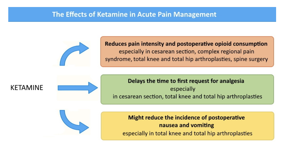 <p><span>The inclusion of ketamine may be effective in patients with escalating opioid requirementsbut the benefits of its use offset by dose-dependent adverse effects, including hypersalivation, nausea and vomiting and psychotomimetic effects</span></p>
