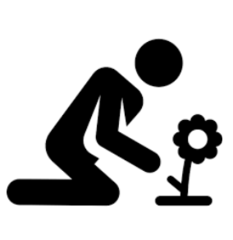 <p>to do the gardening</p>