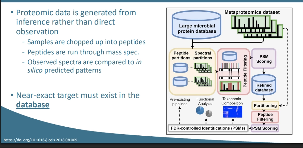 <p>(difference?)</p><ul><li><p>using inference rather than direct observation</p></li><li><p>measuirng proteins - whats actually being USED in the environment / community / organisms, vs what COULD be used from within their genome - so more precise about metabolism right now!</p></li></ul><p>(process)</p><ul><li><p>chop up environmental samples into AAs &amp; small peptide chains </p></li><li><p>these are run through mass spec, and spectra are provided (different mass charge ratios, different abundances) that are matched up with databases </p></li><li><p>these databases contain expected spectra for proteins - from ‘in silico’ baseline data </p></li><li><p>these databases include info on proteins and their peptide sequences, so the experimental data is able to be matched up - the chopped up peptide bits are able to be matched up with potential proteins they may have been degrades from, to map the proteins present in the sample</p></li><li><p>peptide sequences matched up to proteins they may be found in => their combinations narrowed down to proteins that contain each combo => can match up to proteins found in specific organisms </p></li><li><p>these can be used with inference, to infer what metabolisms / organisms are present (based on what purpose these proteins are for)</p></li></ul><p>(drawbacks)</p><ul><li><p>messy </p></li><li><p>organism / protein may not be represented in the databse - so must be assigned to the next closest thing. for accuracy, requires the thing of interest to allready have been put in the database</p></li><li><p>may overcome some drawbacks by making a metagenome first, and predicting proteins present, to generate a database for use. |(ensuring of interest is represented)</p></li><li><p>but if unknown, unmapped, undiscovered - ur screwed</p></li></ul><p></p>