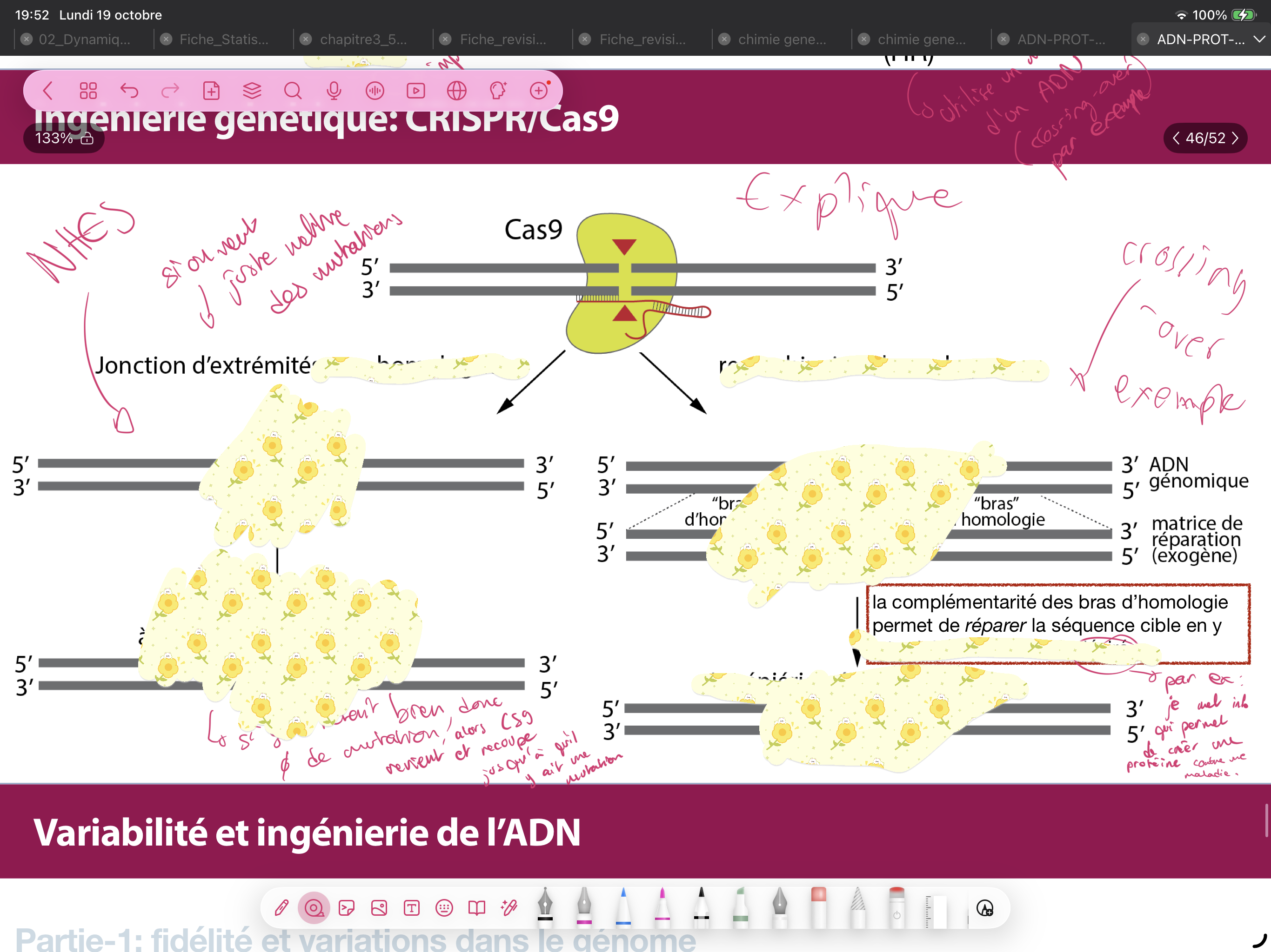 <p>On a deux types de jonctions du CRISPR9. Explique les </p>