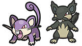 <p>Rattata</p>