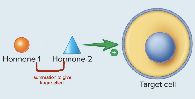 <p>Synergistic Interactions</p>