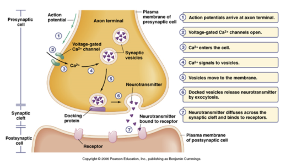 <p><span>What, if anything, is shown incorrectly?</span></p>