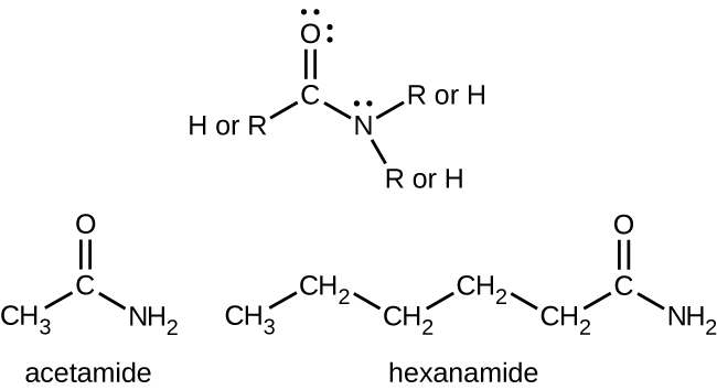 <p>ends with -amide, has carbonyl group (C=O) linked to a nitrogen atom R-CONH<sub>2</sub>, <span style="background-color: transparent;">C<sub>n</sub>H<sub>2n+1</sub>NO</span></p>