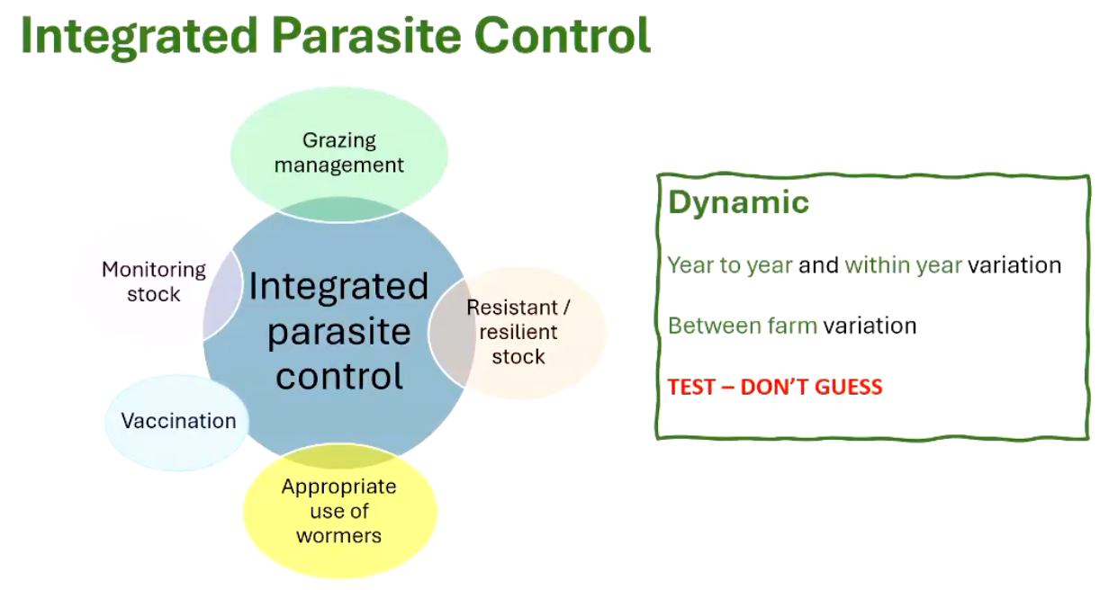 <p><span>Integrated parasite control (or Integrated Parasite Management - IPM) is </span><mark data-color="#e5c6c6" style="background-color: rgb(229, 198, 198); color: inherit;">a sustainable, holistic approach to managing parasites in livestock by combining chemical treatments (anthelmintics) with non-chemical methods like grazing management, breeding for resistance, and regular testing.</mark></p>