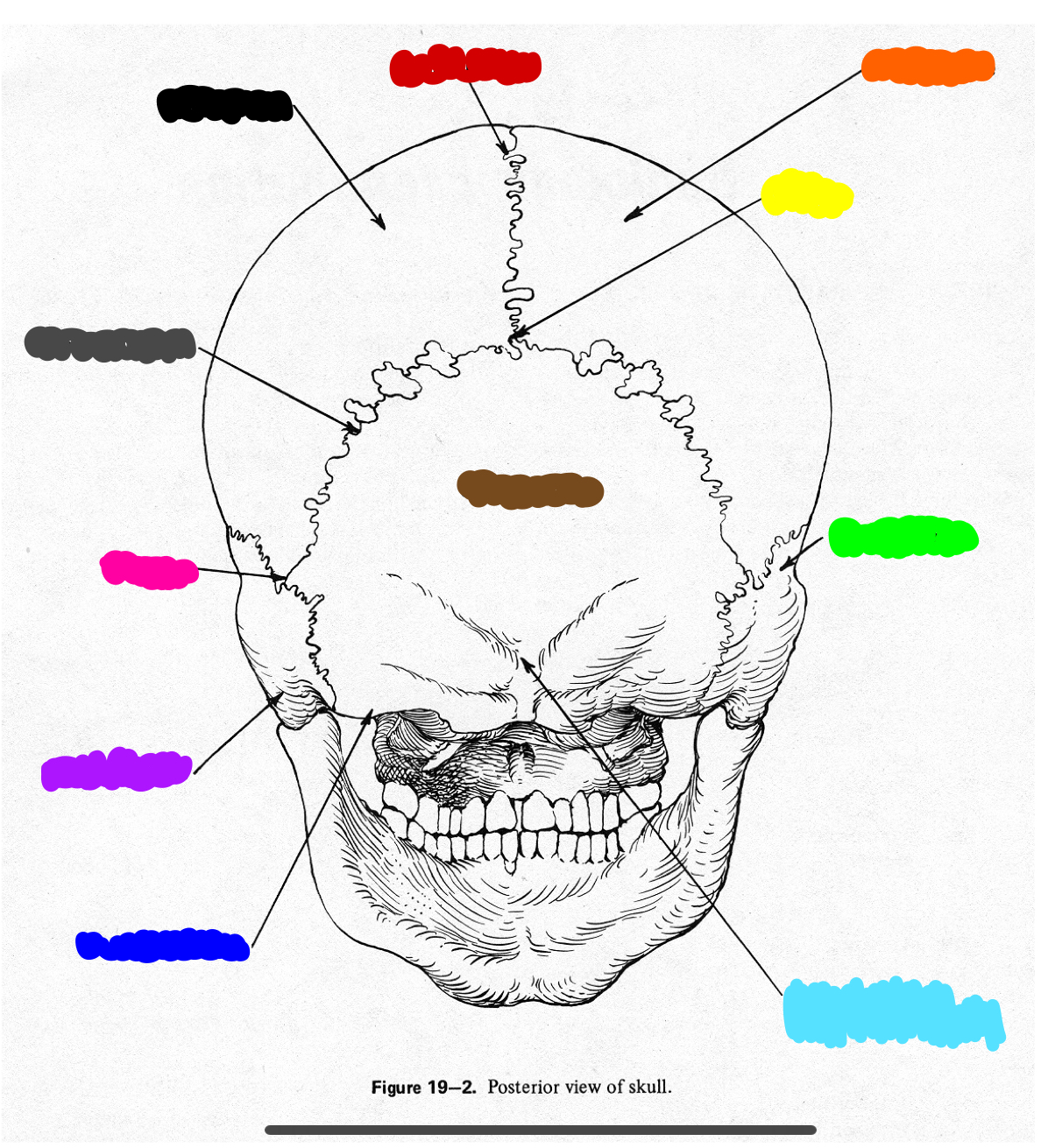 <p>orange</p>