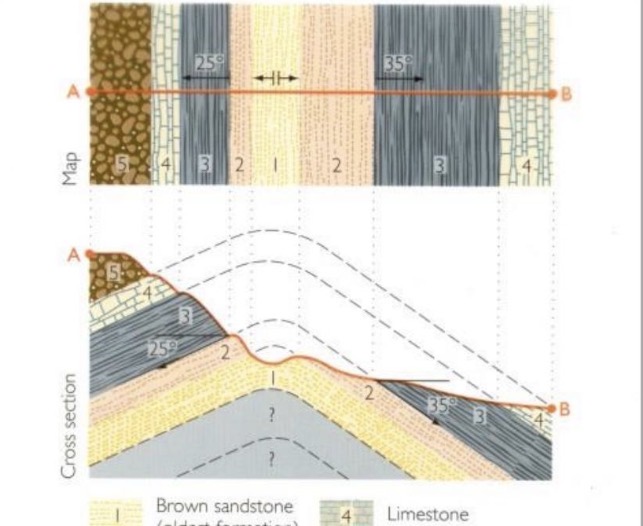 <p>vertical slice of Earth</p>