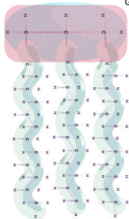 <p>triglyceride</p>