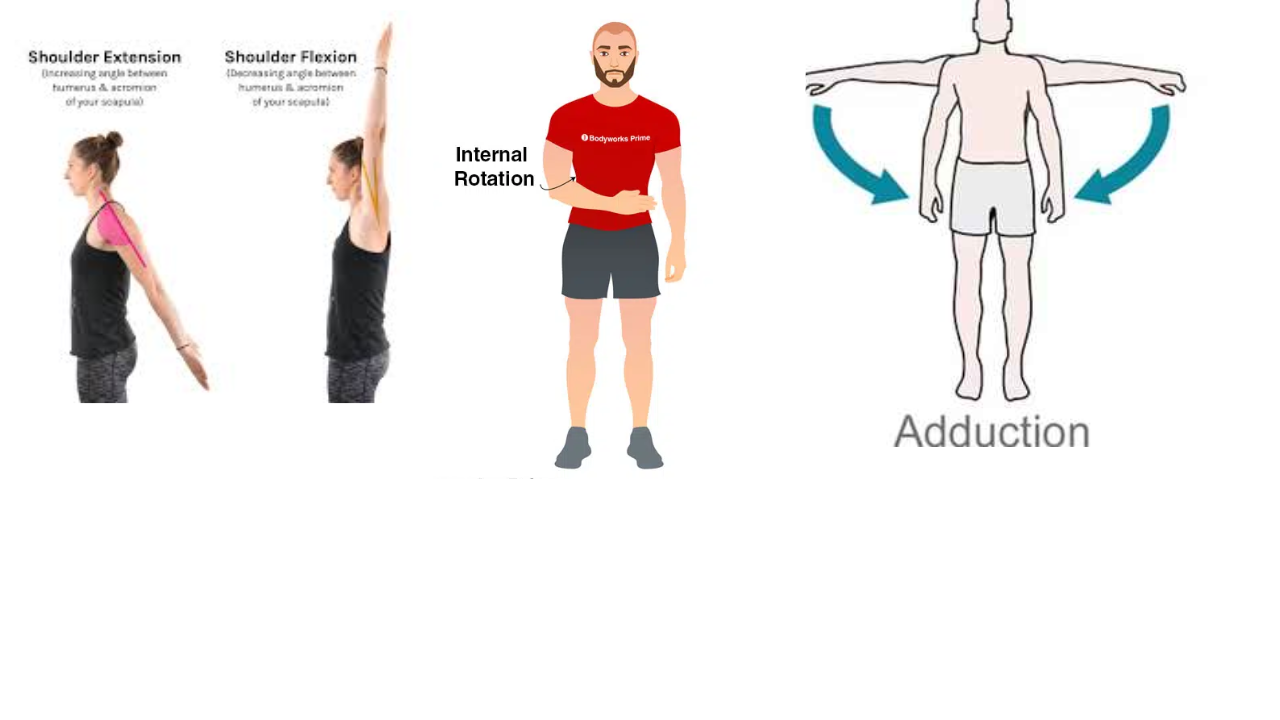 <p>Shoulder Flexion, Medial Rotation, Shoulder Adduction, Horizontal Adduction</p>