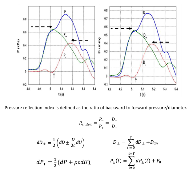 <p>Rindex=P-/P+=D-/D+</p>
