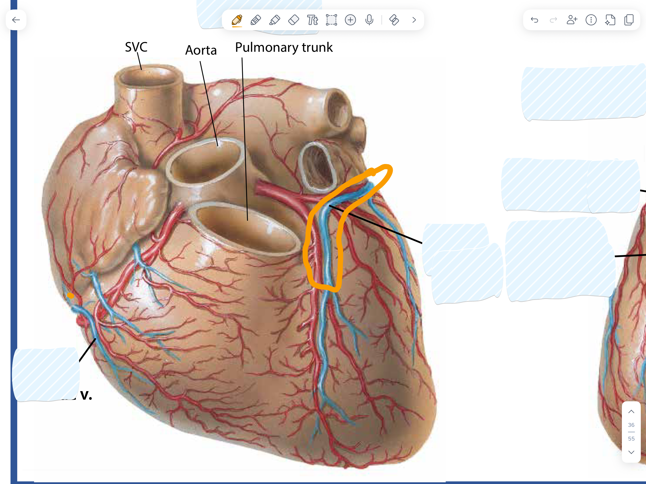 knowt flashcard image