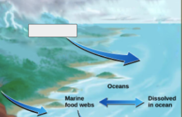 <p>phosphorous cycle: name the step</p>