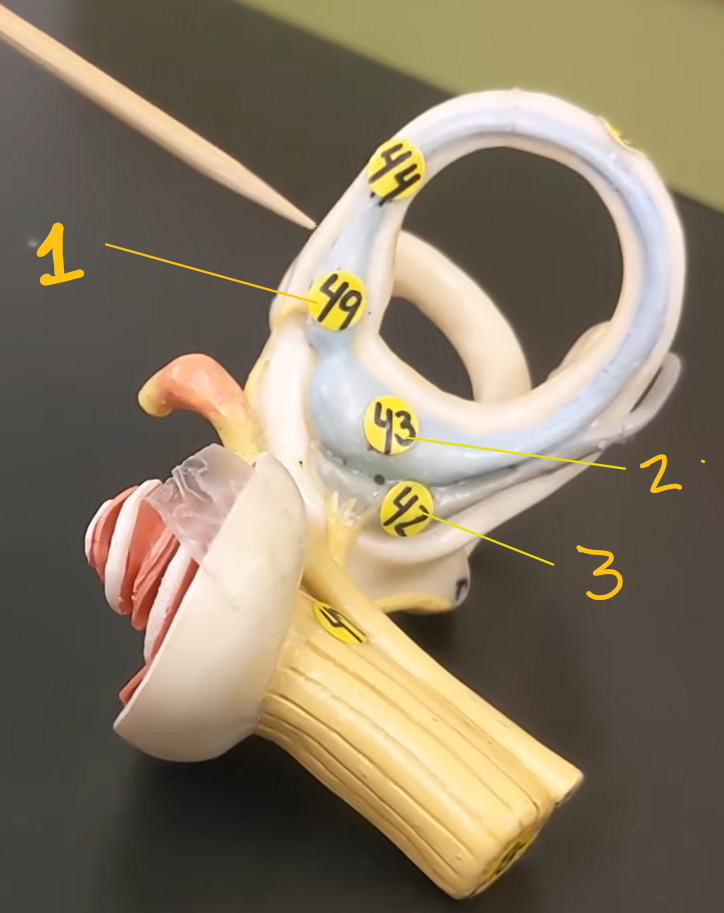 <p>2? </p>