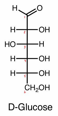 <p>Emil Fischer (1902)</p><ul><li><p>a way to look at carbohydrates/sugars in the <strong>highest</strong> E conformation </p><ul><li><p>skeletal → lowest E conformation </p></li></ul></li></ul><p></p>