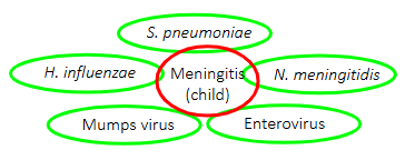 <p>EMPIRIC THERAPY:</p><p>- knowing the most common causes of a clinical syndrome allows appropriate initial (broad spectrum) antibiotic therapy</p><p>- inadequate intial antibiotic therapy is associated with treatment failure and death</p><p>- however, broad-spectrum antibiotic use causes the emergence of multi-resistant pathogens</p><p>.</p><p>DIRECTED THERAPY:</p><p>- if the specific causative organism is identified in the microbiology laboratory, we can target therapy to treat that organism</p><p>- avoid unnecessary antibiotic use (e.g virus)</p><p>- optimise therapy for the individual present</p>
