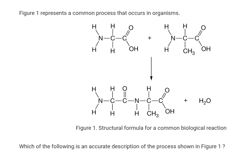 <p>1.3 — Question #2</p>