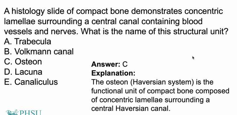 <p>you missed four iclickers</p><p>C) the answer was osteons are called Haversion systems. </p>