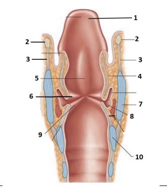<p>8</p>