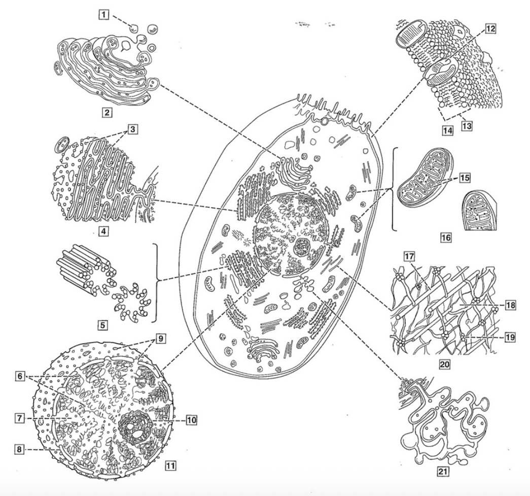 <p>what are 6, 7, 8</p>