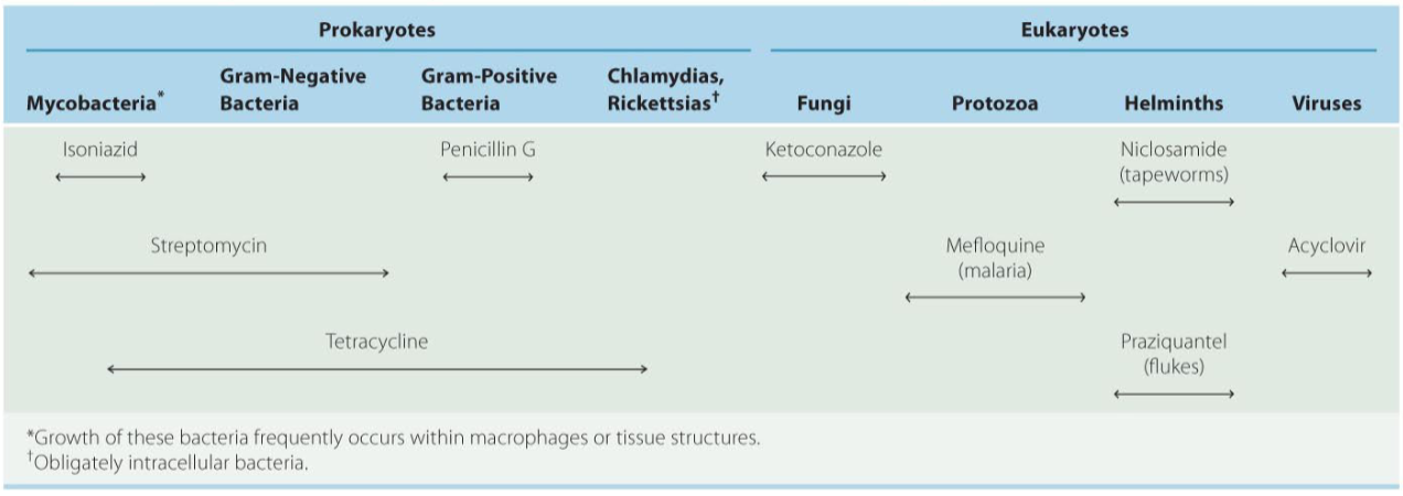 <ul><li><p><span style="background-color: transparent;"><strong>Narrow </strong>spectrum of microbial activity: drugs affect a narrow range of microbial types&nbsp;</span></p></li><li><p><span style="background-color: transparent;"><strong>Broad </strong>spectrum antibiotic: affects a broad range of graph positive or gram-negative bacteria</span></p></li></ul><p></p>