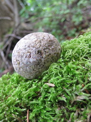 <p>When a ball is rolling down an incline it is converting potential energy into ...</p>