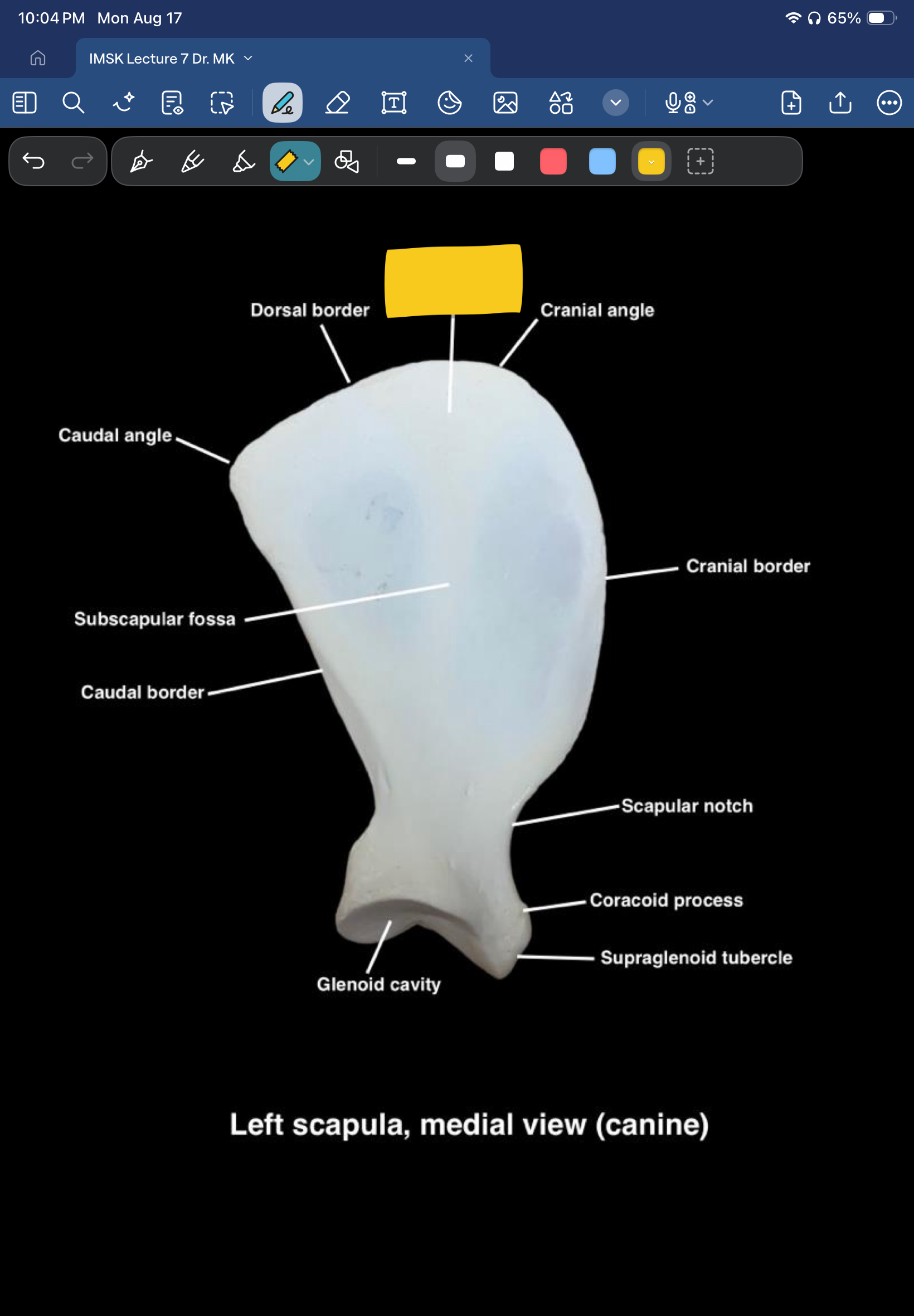 term image
