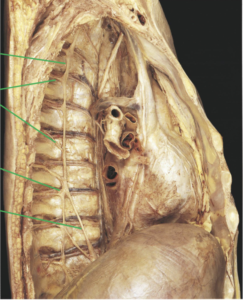 <p>identify</p>
