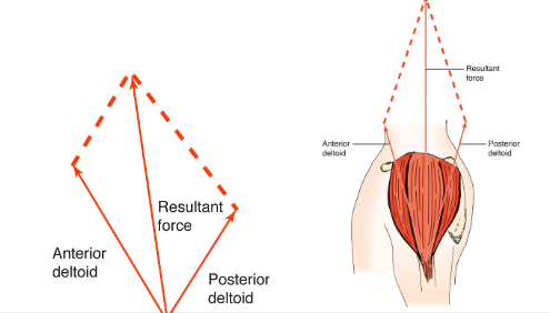<p>Sum of magnitudes and directions of each individual force vector, results from all applications of all forces acting on the object </p>