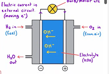 <ul><li><p>2 electrodes separated by an electrolyte (KOH)</p></li><li><p>Each reactant is introduced from either side of the cell</p></li><li><p>Water is removed </p></li><li><p>Hydrogen is oxidised at the negative electrode - by reacting with OH from electrolyte, releasing electrons </p></li><li><p>H2+2OH<sup>-</sup> →2H2O + 2e-</p></li><li><p>These electrons travel through the external circuit and arrive at the positive electrode</p></li><li><p>Where oxygen gains the electrons at the positive electrode and reacts with water (from the electrolyte)</p></li><li><p>O2 +2H2O +4e- → 4OH- </p></li><li><p>Hydroxide ions produced move through the electrolyte  to complete the circuit </p></li></ul><p></p>