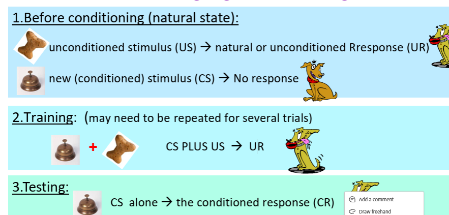<p>1. Classical conditioning (e.g. Pavlov’s dogs) Association formed between an event (good or bad) & a neutral but predictive cue → response to cue as if it were event</p>