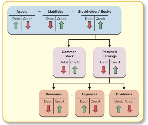 <p>Common Stock/RE/Revenues: Debits Decrease, <strong><u>Credits Increase [NORMAL BALANCE]</u></strong></p><p>Expenses/Dividends: <strong><u>Debits Increase [NORMAL BALANCE]</u></strong>, Credit Decrease</p>