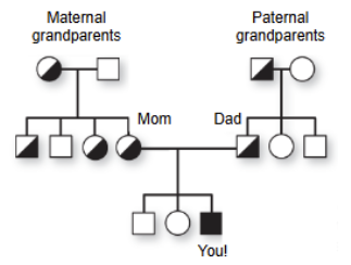 <p>diagram showing inheritance pattern of a trait within a family —> allows us to trace the <strong><u>inheritance </u></strong>of <u>rare alleles</u> </p>