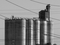 <p>"The grain elevators of Canada and South America ... are almost as impressive in their monumental power as the buildings of ancient Egypt." "The Development of Industrial Buildings,"</p>