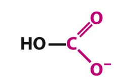 <p>What is this structure?</p>