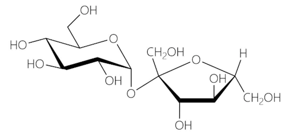 <ul><li><p>Comprise of alpha-D-glucose and beta-D-fructose molecule</p></li><li><p>Alpha 1 → beta 2 glycosidic linkage</p></li><li><p><span style="color: yellow;">Not a reducing sugar because the anomeric carbons of both sugars are forming an acetal</span></p></li><li><p>Sweetener, sugarcane, preservative</p></li></ul><p></p>