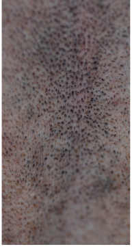 <p>what is this?</p>