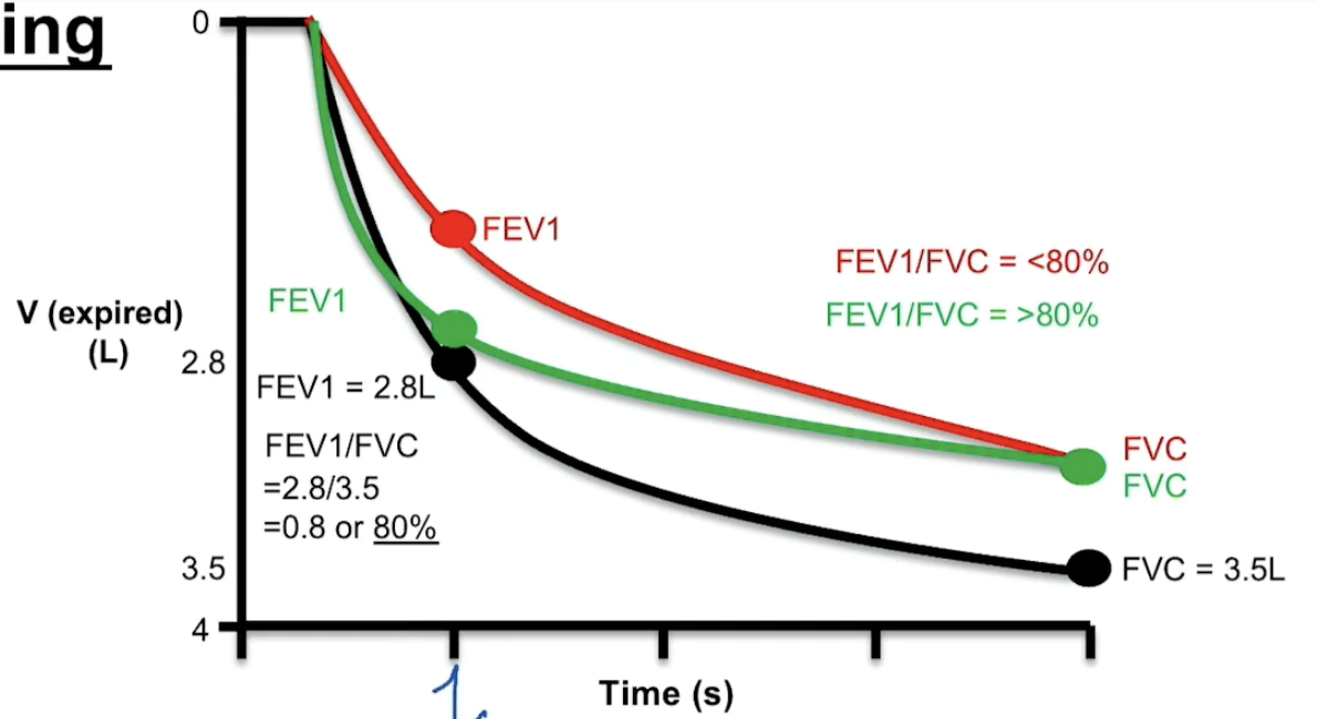 <ol><li><p>The 2 values are:</p><ol><li><p>FEV1 = expiratory volume over 1 min </p></li><li><p>FVC = forced vital capacity which measures the amount of air forced out in one breath after maximum inhalation </p></li></ol></li><li><p>In healthy lungs, FEV1/FVC = 0.8 </p><ol><li><p>In obstructive, FEV1 is decreased relative to normal bc there is an obstruction so harder to push air out. FVC will be slightly less bc hard to breath out sooooo FEV1/FVC < 0.8</p></li><li><p>In restrictive, FEV1 will be slightly lower just bc not a lot of lung volume to begin with, BUT FVC will be greatly decreased soooo FEV1/FVC = normal or >0.8</p></li></ol></li></ol><p></p>