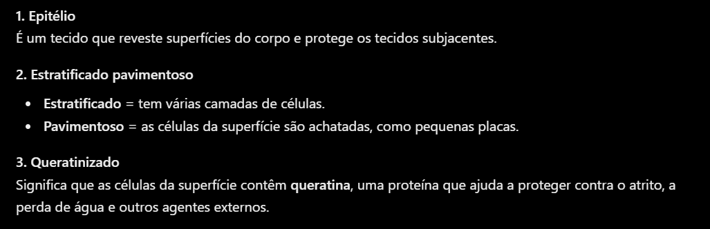 <p>Um epitélio estratificado pavimentoso queratinizado.</p>