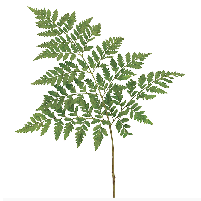 <p>Type</p>