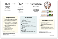 <p>- Elevate HOB</p><p>- Prevent hypoxia + protect airway</p><p>- Maintain normal PCO2, O2, Temperature, Glucose</p><p>- Control Seizure</p><p>- CSF Diversion (Ventriculostomy)</p><p>- Sedation (Propofol, Midazolam)</p><p>- NMB (Cisatricurium)</p><p>- Hyperosmolar Therapy</p><p>- Osmotic Diuretics (Mannitol)</p><p>- Hypertonic Saline</p><p>- Barbiturate Coma (Pentobarbital)</p>