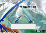 <p>The Water Cycle: Name this step</p>