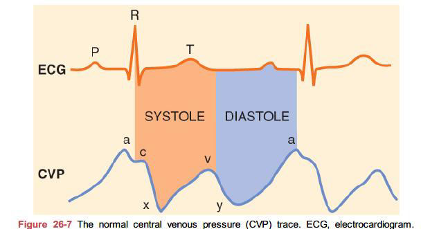 <p>답: 라</p><p>a wave: end-diastloe, atrial contraction</p><p>c wave: early systole, isovolumic contraction, tricuspid 닫히면서 atrium으로 밀림</p><p>v wave: late systole, systolic filling of atrium</p><p>x descent: mid-systole, atrial relaxation, systolic collapse. tricuspid annulus가 cardiac apex쪽으로 당겨지면서 atrial pressure가 감소함.</p><p>y descent: early diastole, early ventricular filling, diastolic collapse</p><p></p><p></p>